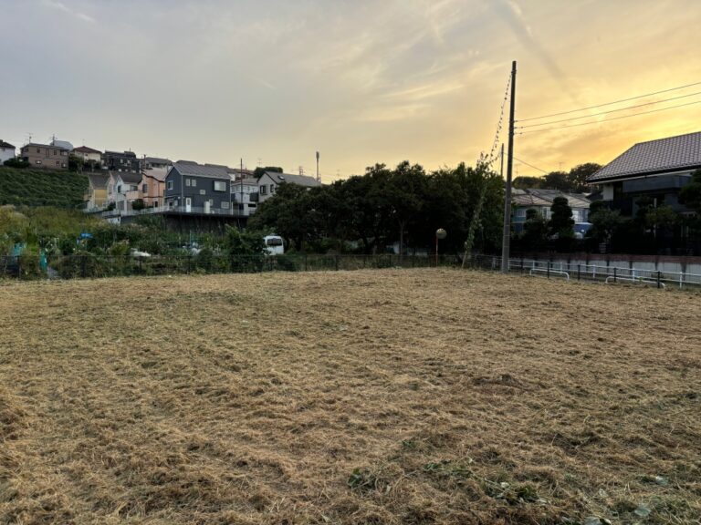 除草後