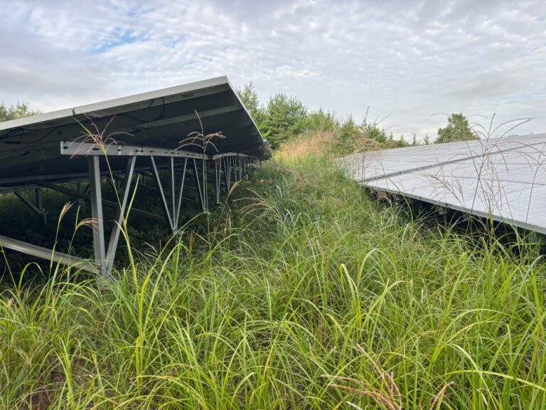 太陽光電池